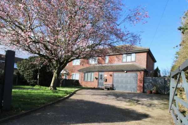 House sit in Ipswich, United Kingdom