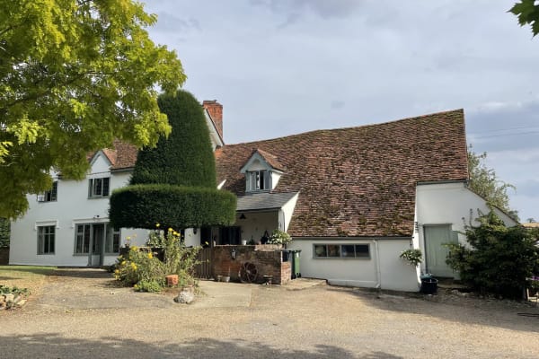 House sit in Halstead, United Kingdom