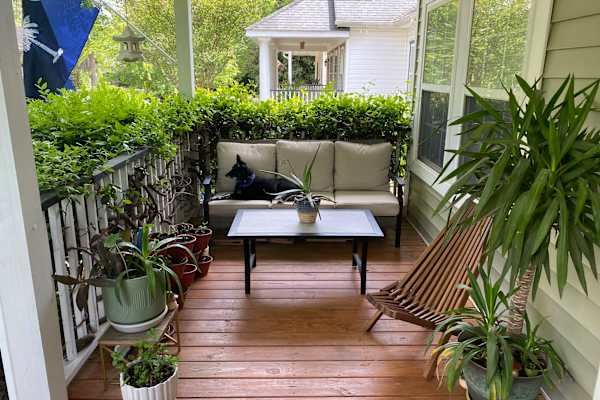House sit in North Charleston, SC, US
