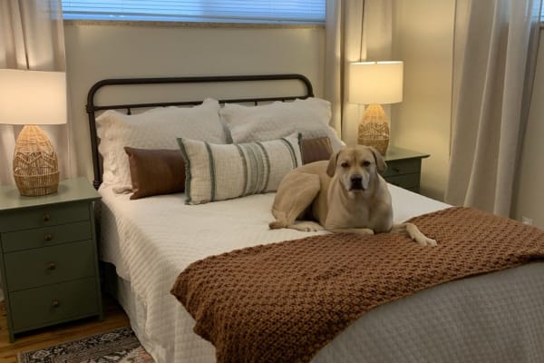 House sit in Wheat Ridge, CO, US
