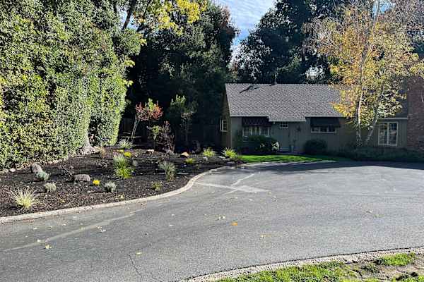 House sit in Walnut Creek, CA, US