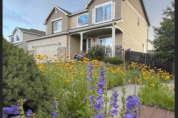 House sit in Colorado Springs, CO, US