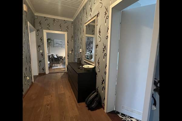 House sit in Augsburg, Germany