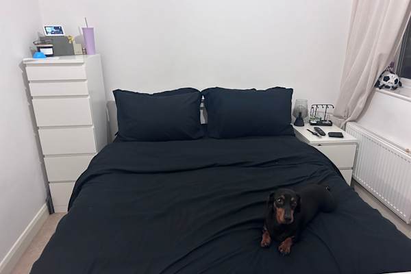 House sit in Guiseley, United Kingdom