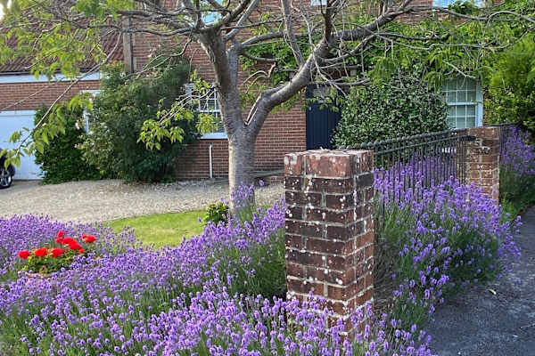 House sit in Warminster, United Kingdom
