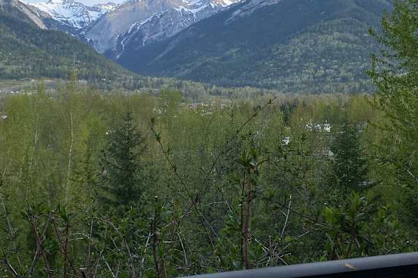 House sit in Fernie, BC, Canada