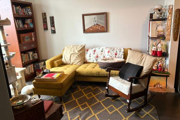 House sit in San Antonio, TX, US