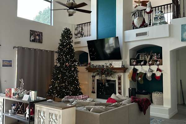 House sit in Surprise, AZ, US