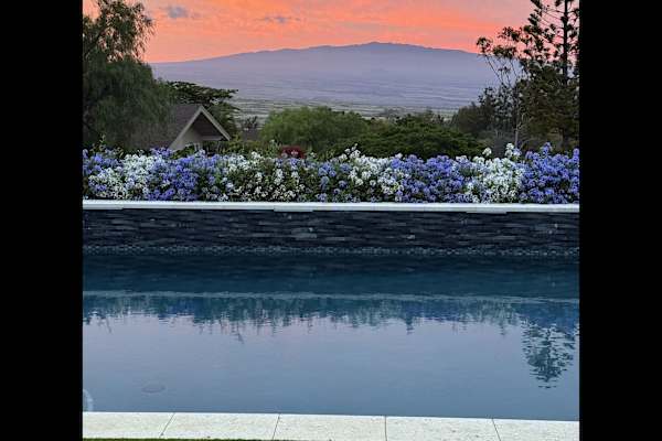 House sit in Kailua-Kona, HI, US