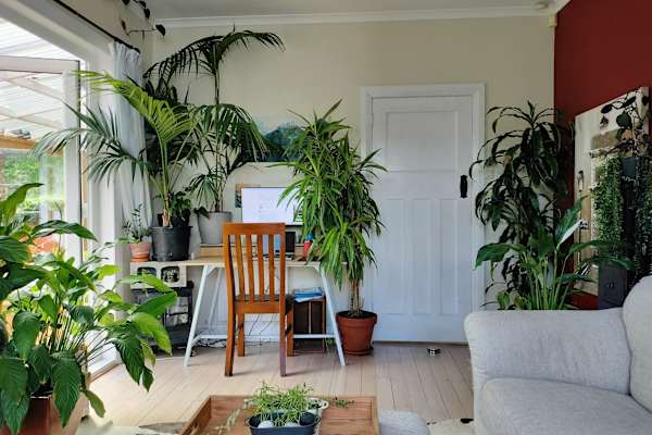 House sit in Wellington, New Zealand