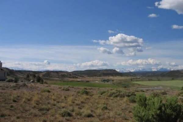 House sit in Montrose, CO, US