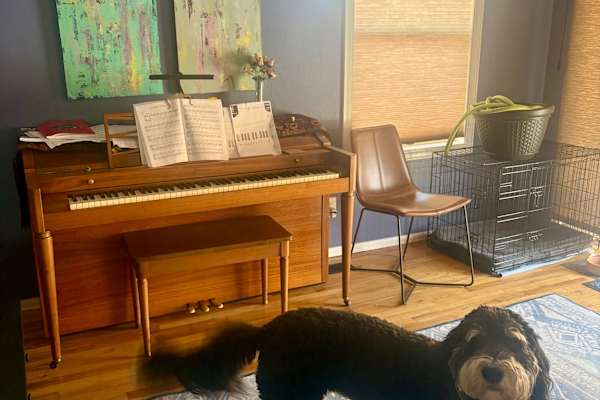 House sit in Longmont, CO, US