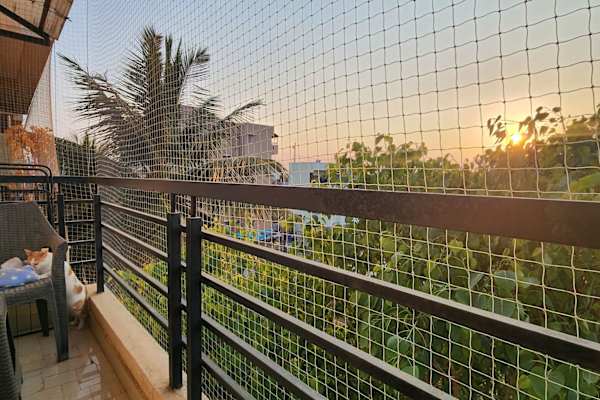 House sit in Bengaluru, India