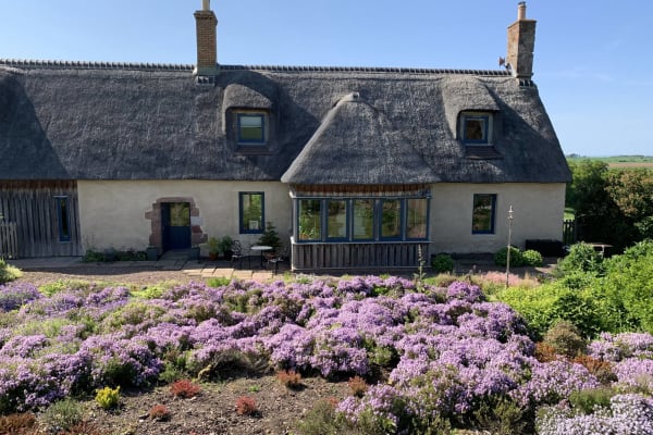 House sit in Gifford, United Kingdom