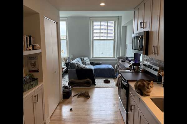 House sit in Milwaukee, WI, US