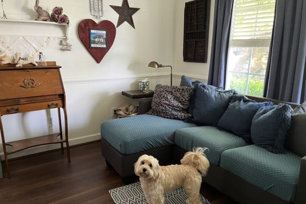 House sit in Williamsburg, VA, US