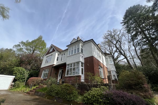 House sit in Haslemere, United Kingdom