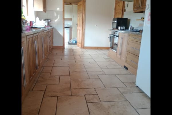 House sit in Urlingford, Ireland