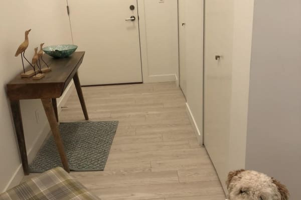 House sit in North Vancouver, BC, Canada