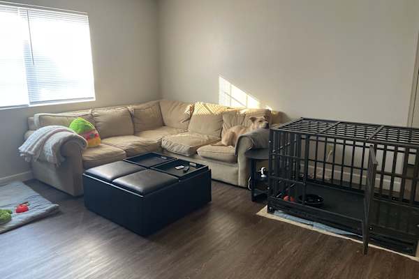 House sit in Iowa City, IA, US