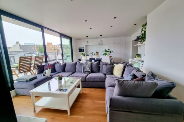 House sit in Antwerpen, Belgium