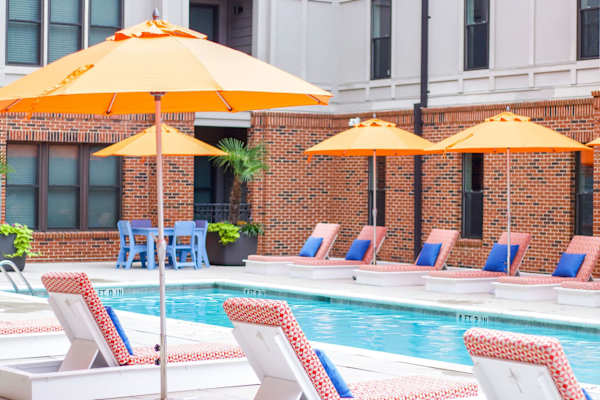 House sit in Charleston, SC, US