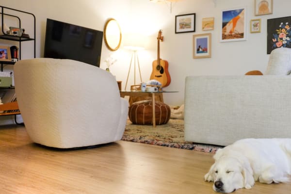House sit in Culver City, CA, US
