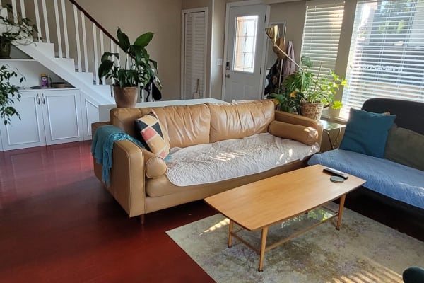 House sit in Vancouver, BC, Canada