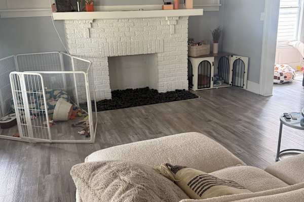 House sit in Cleveland Heights, OH, US
