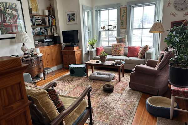 House sit in Gloucester, MA, US