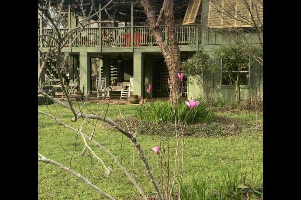 House sit in New Orleans, LA, US