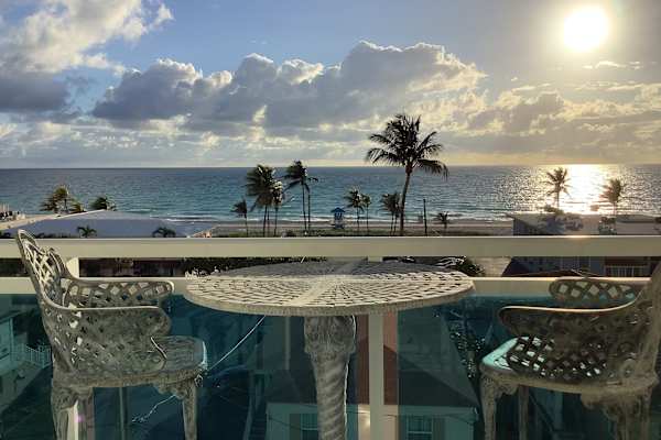 House sit in Hollywood, FL, US