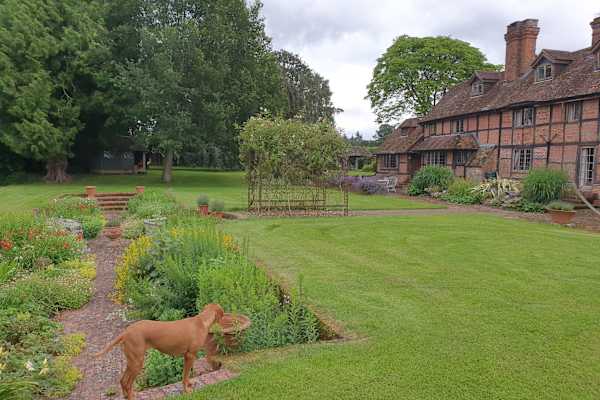 House sit in Basingstoke, United Kingdom