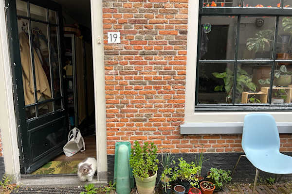 House sit in Leiden, Netherlands