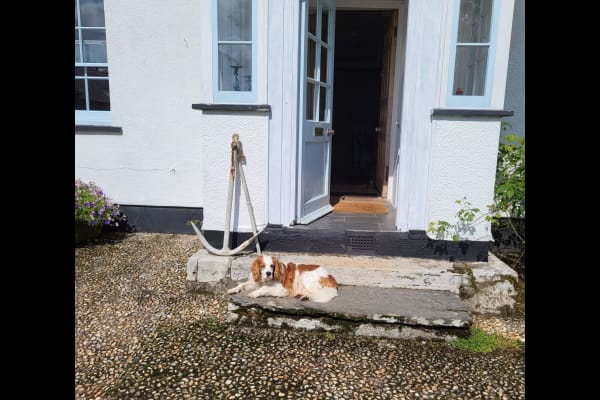 House sit in Dartmouth, United Kingdom