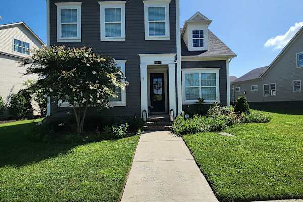 House sit in Franklin, TN, US