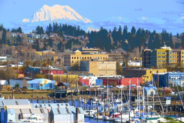 House sit in Olympia, WA, US