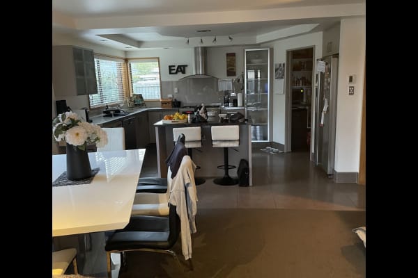 House sit in Christchurch, New Zealand