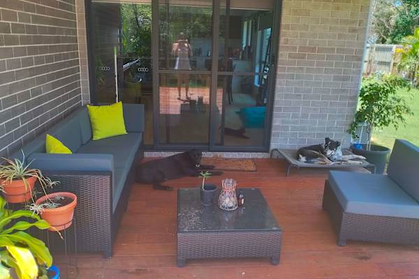 House sit in Landsborough, QLD, Australia