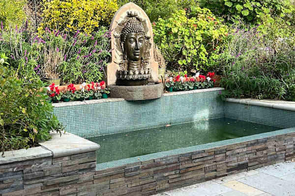 House sit in San Carlos, CA, US