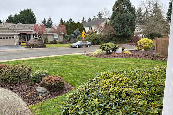 House sit in Gig Harbor, WA, US