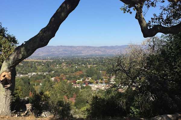 House sit in Napa, CA, US