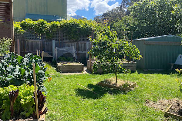 House sit in Hobart, TAS, Australia