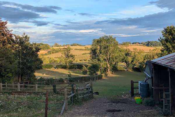 House sit in Kibworth Harcourt, United Kingdom