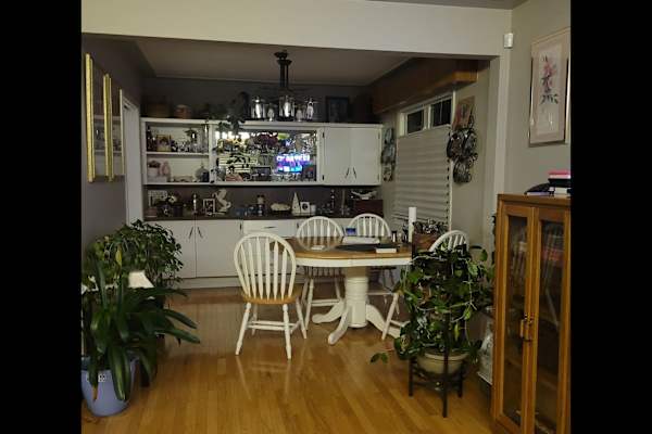 House sit in Edmonton, AB, Canada