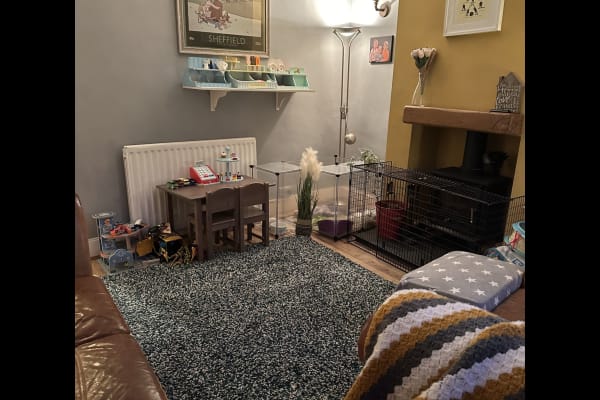 House sit in Sheffield, United Kingdom