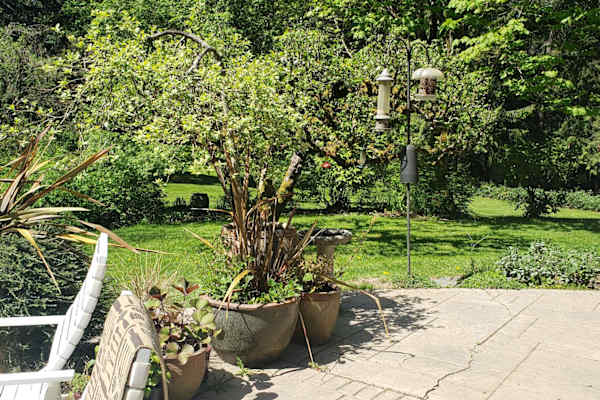 House sit in Port Angeles, WA, US