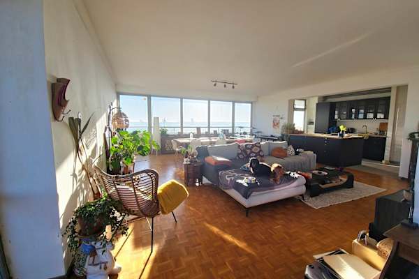 House sit in Brussels, Belgium