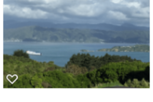 House sit in Wellington, New Zealand