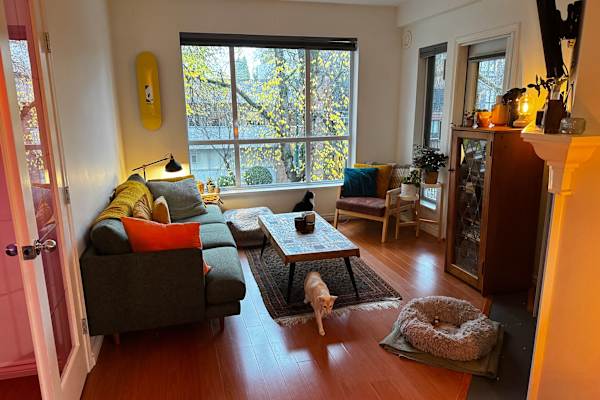 House sit in Kitsilano, BC, Canada